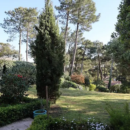 Dans Un Cadre De Verdure 110 M2 Proche Golf Et